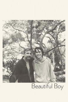 Poster for Beautiful Boy 2018