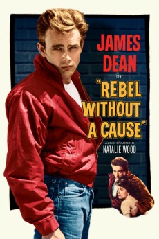 Poster for Rebel Without a Cause 1955