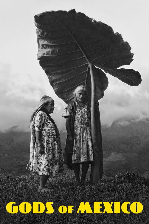 Gods of Mexico