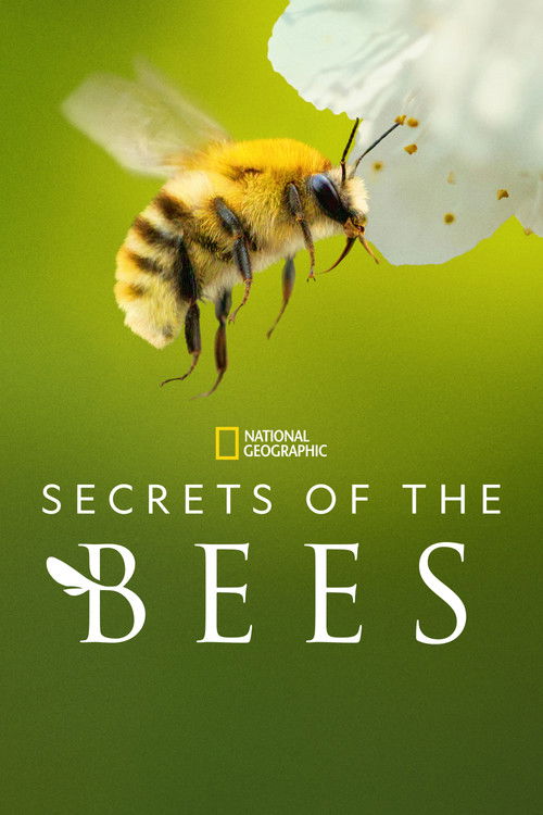 Secrets of the Bees