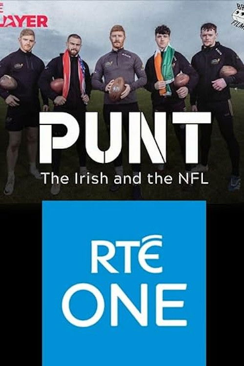 Punt: The Irish and The NFL