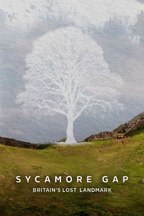 Sycamore Gap: Britain's Lost Landmark