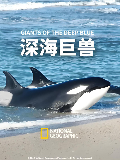 Beasts of the Big Blue